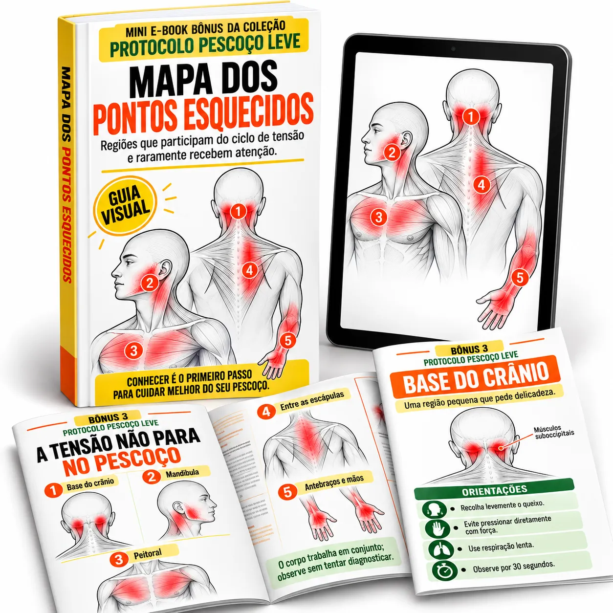 Bônus Mapa dos Pontos Esquecidos: guia visual das regiões de tensão